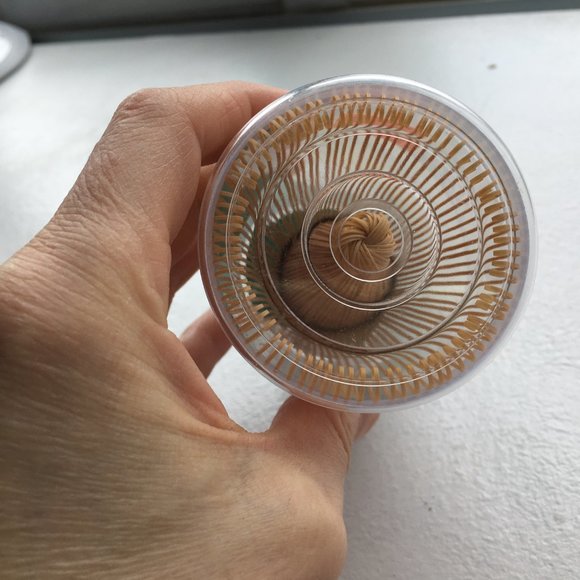 Matcha straw stir stick New in Box whisk - Picture 3 of 5